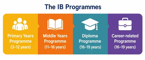 The IB Programmes Infographic